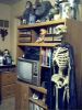 skelton2.jpg